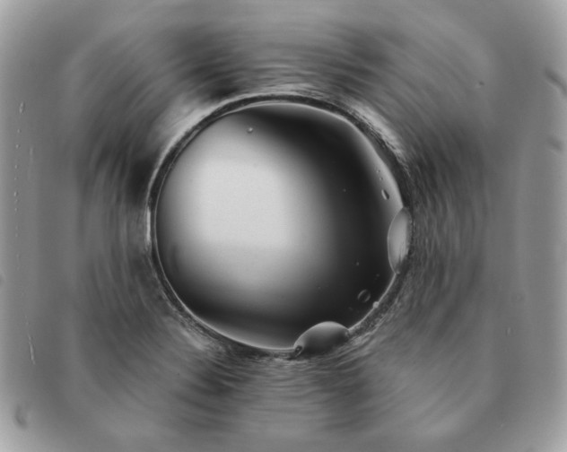 X0000091291324200708171336