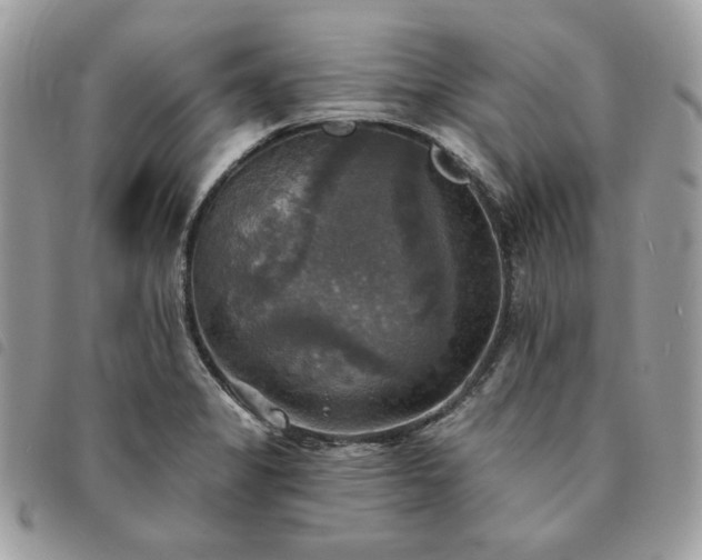 X0000091291325200708171336