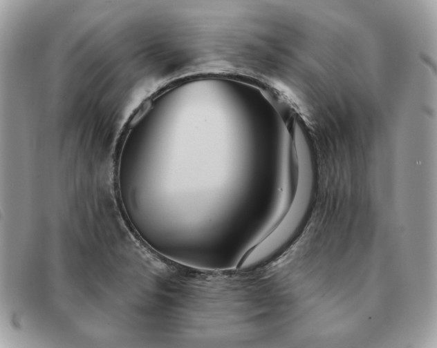 X0000091291326200708171336