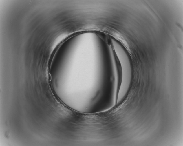 X0000091291328200708171336