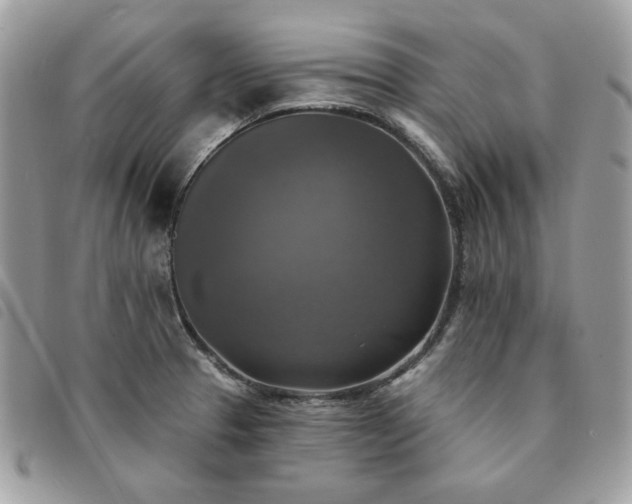 X0000091291329200708171336