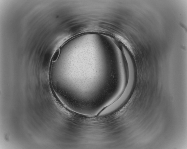 X0000091291330200708171336