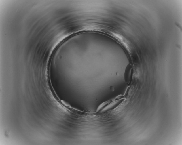 X0000091291331200708171336