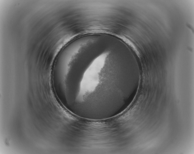 X0000091291333200708171336