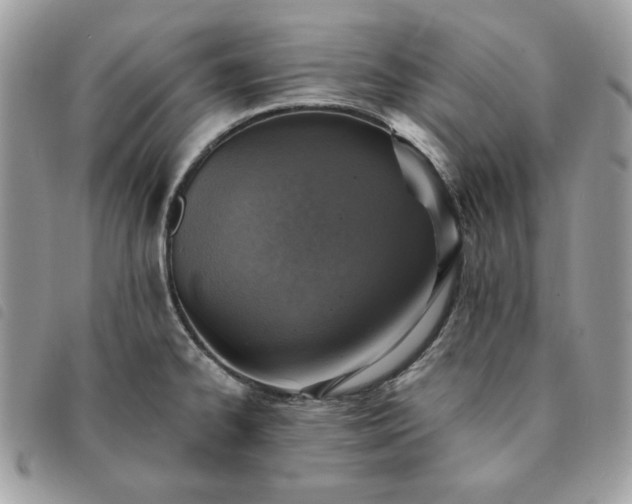 X0000091291334200708171336