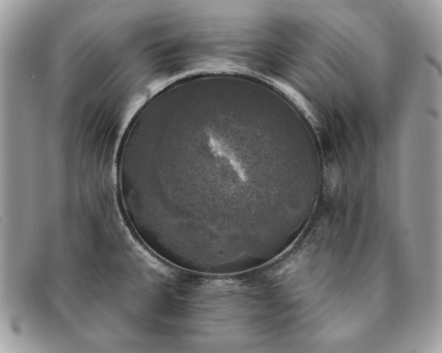 X0000091291335200708171336