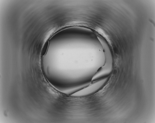 X0000091291336200708171336