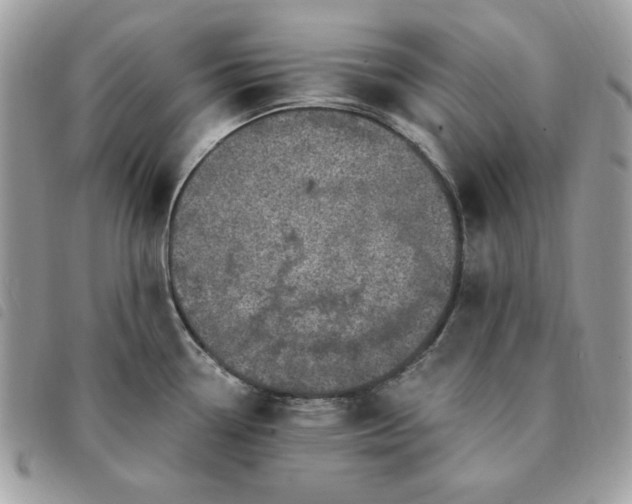 X0000091291338200708171336