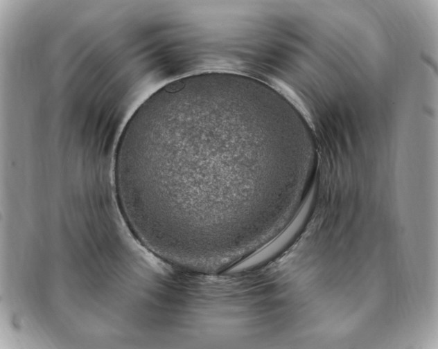 X0000091291339200708171336