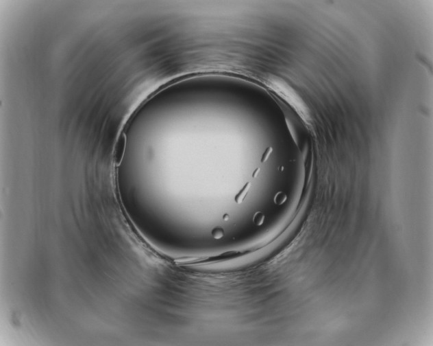 X0000091291340200708171336