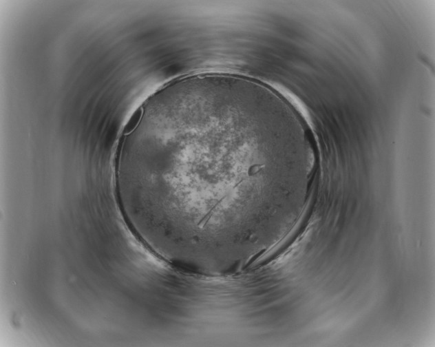 X0000091291341200708171336