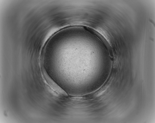 X0000091291342200708171336