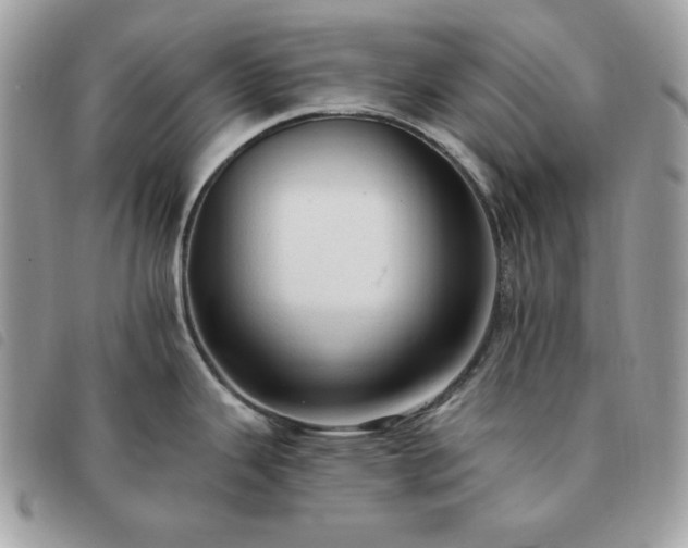 X0000091291343200708171336