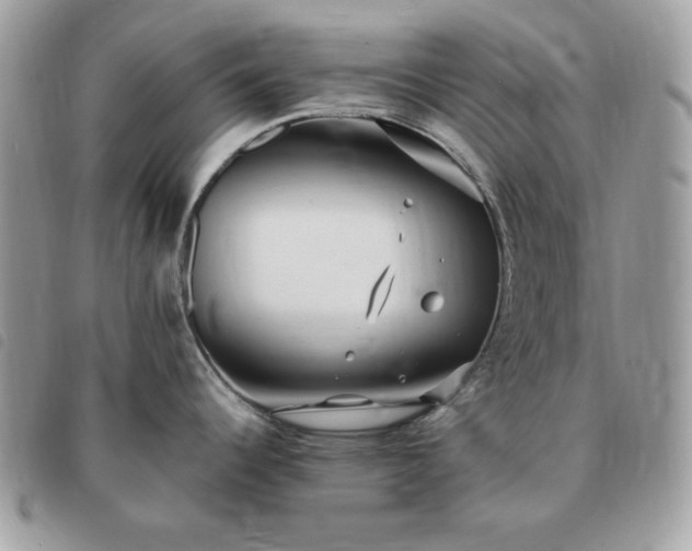 X0000091291344200708171336