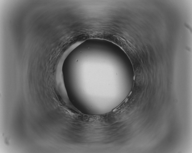 X0000091291345200708171335