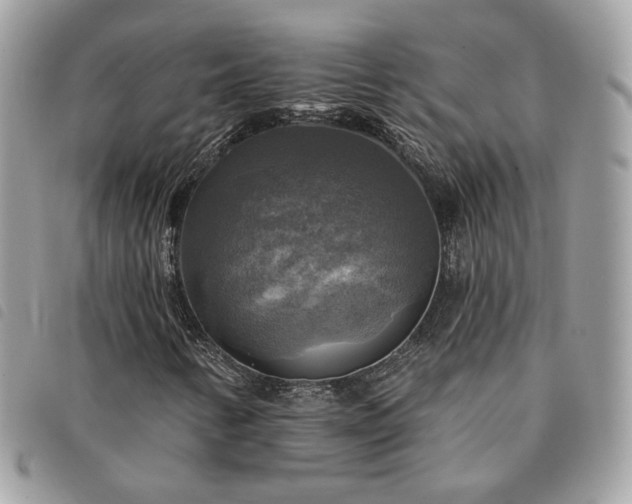 X0000091291346200708171335