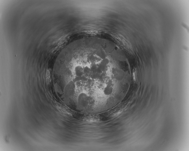 X0000091291347200708171335