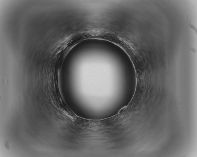 X0000091291349200708171335