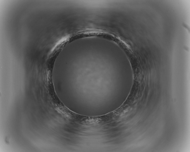 X0000091291351200708171335