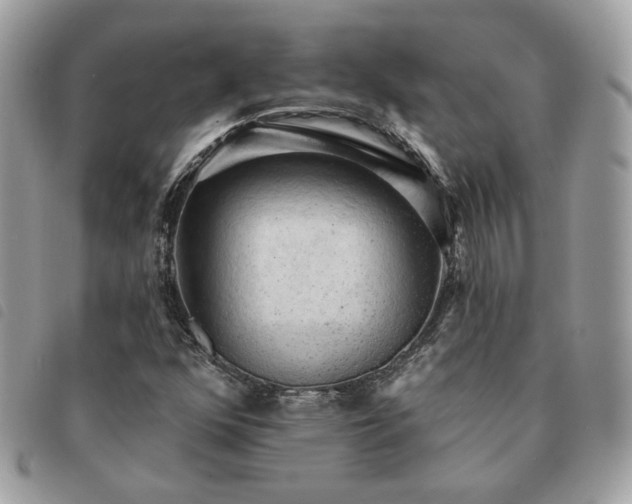 X0000091291352200708171335