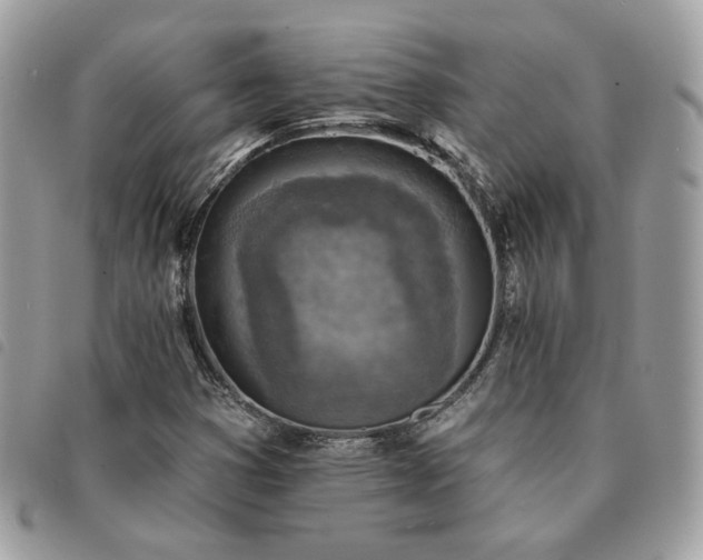 X0000091291353200708171335