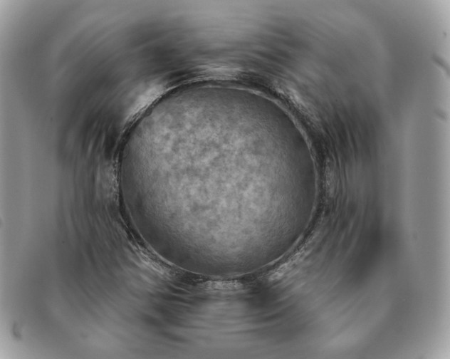 X0000091291354200708171335