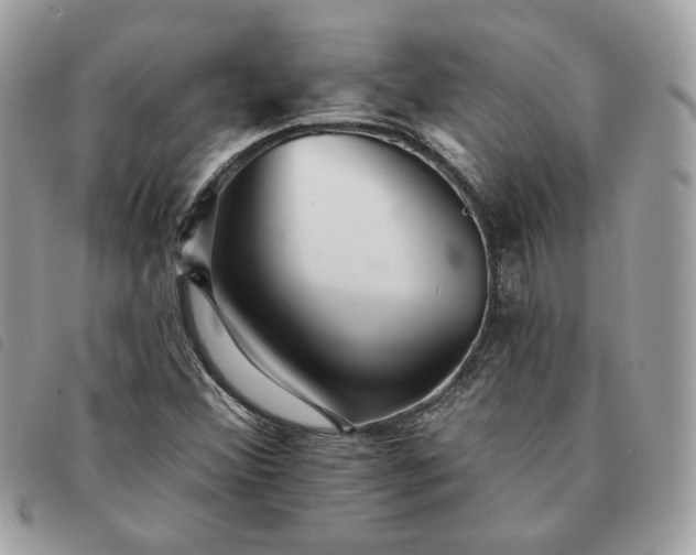 X0000091291356200708171335