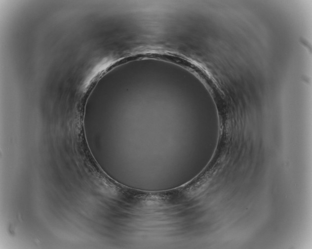 X0000091291359200708171335