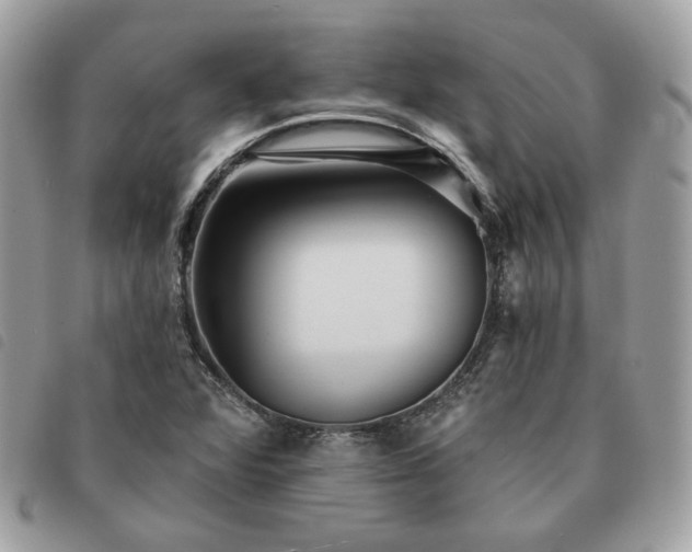 X0000091291360200708171335