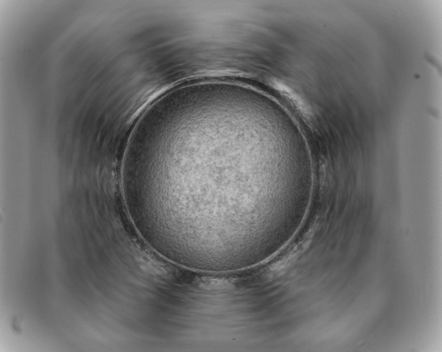 X0000091291361200708171335