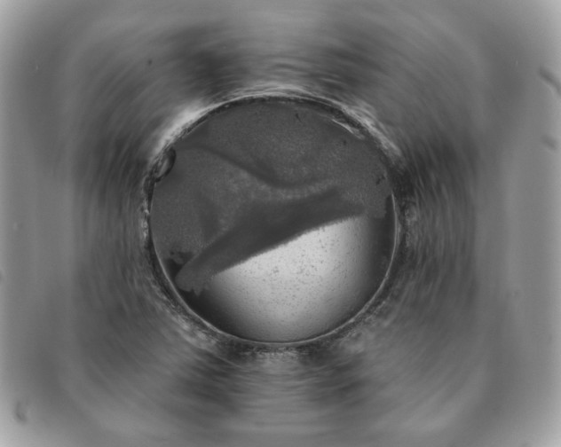 X0000091291363200708171335