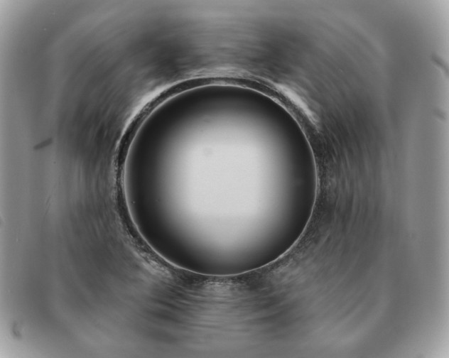 X0000091291364200708171335