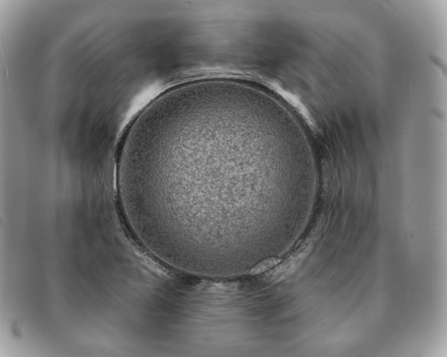 X0000091291365200708171335