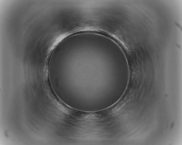 X0000091291367200708171335