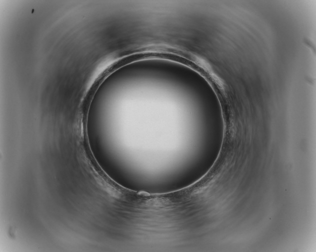 X0000091291368200708171335