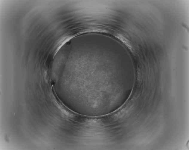 X0000091291369200708171335