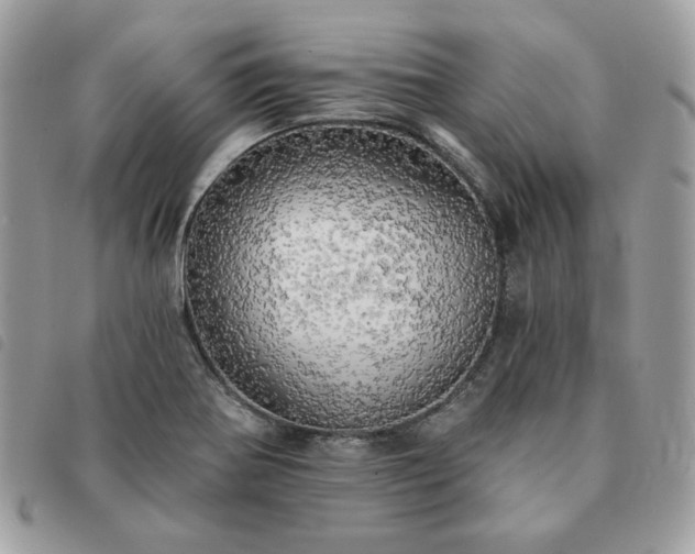 X0000091291370200708171335