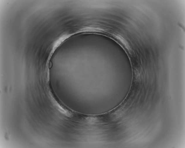 X0000091291371200708171335