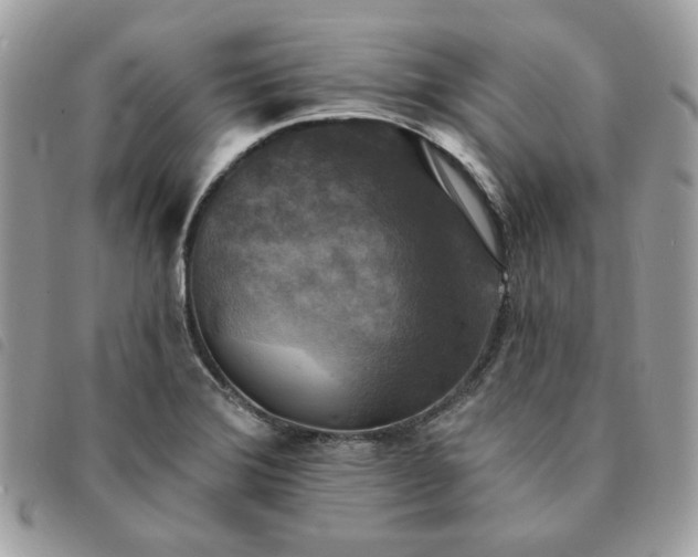 X0000091291372200708171335