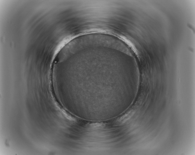 X0000091291373200708171335