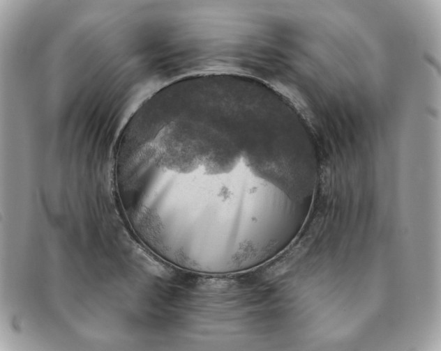 X0000091291374200708171335