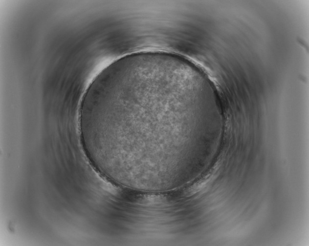 X0000091291375200708171335