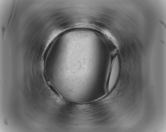 X0000091291376200708171335