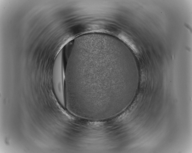 X0000091291377200708171335