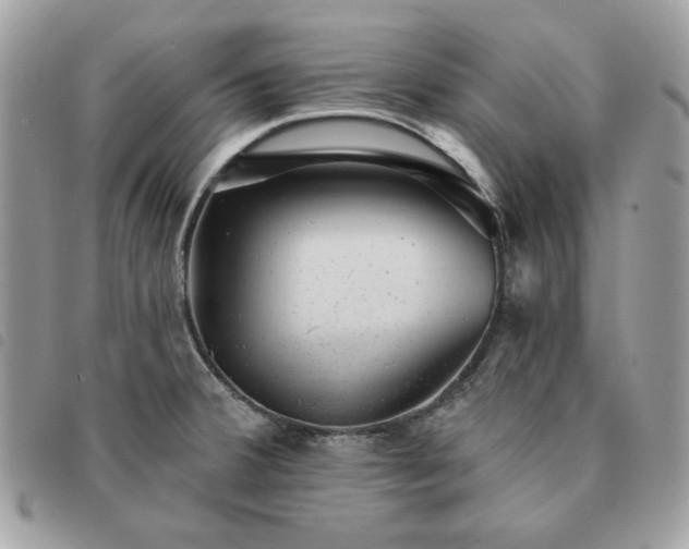 X0000091291380200708171335