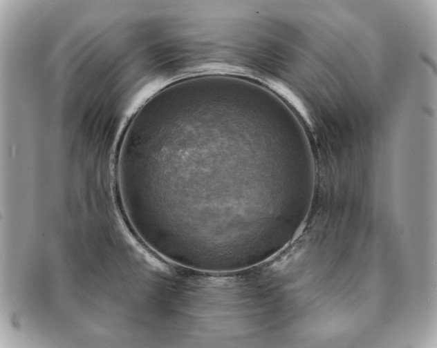 X0000091291381200708171335