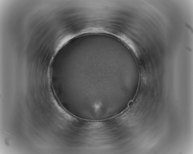 X0000091291382200708171335