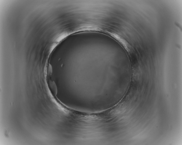 X0000091291383200708171335