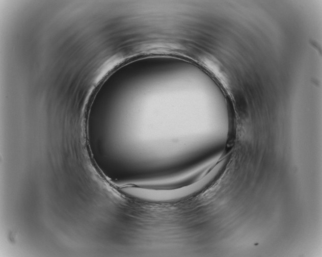 X0000091291384200708171335