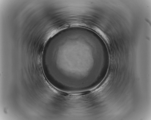 X0000091291385200708171335